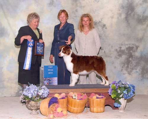 vlevo rozhodčí Ann Atkinson, uprostřed Ann Shope - 1.místo Novice Class ASCA Nationals 2005