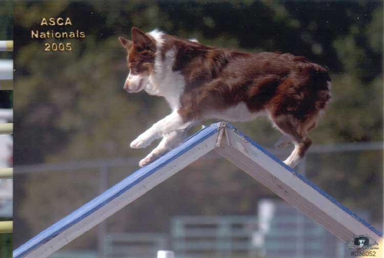 ASCA Nationals 2005